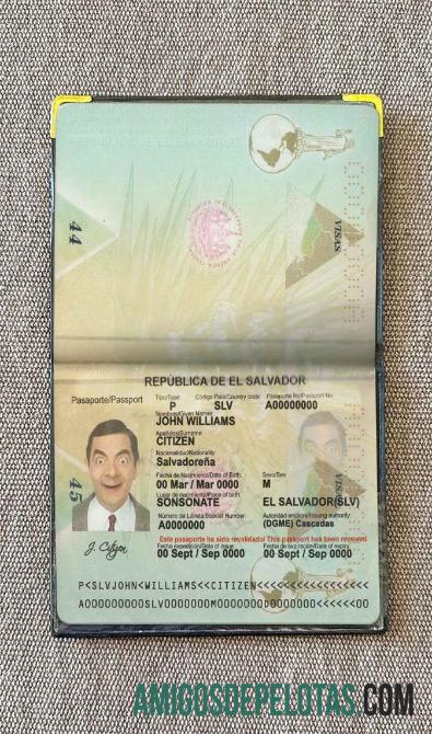 Foto do passaporte de Salvador exemplo real